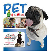 Pet of the Month 2024