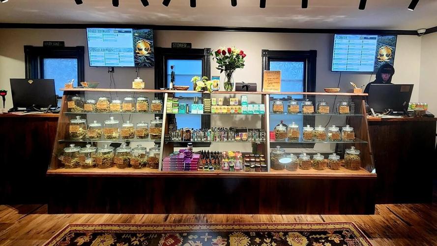 Rooted in Connection: The Story of VerDiggity Organics