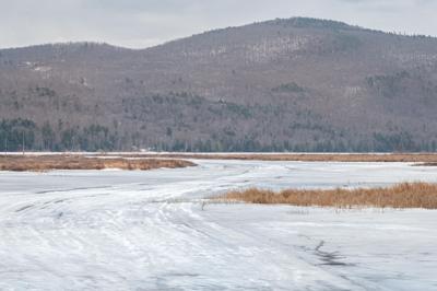 Bristol Pond Access Area